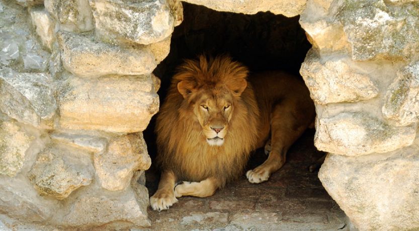 Daniel 6: Daniel en el foso de los leones