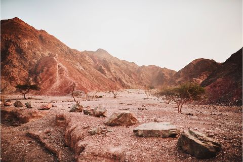 La tentación de Cristo en el desierto: ¿qué podemos aprender?