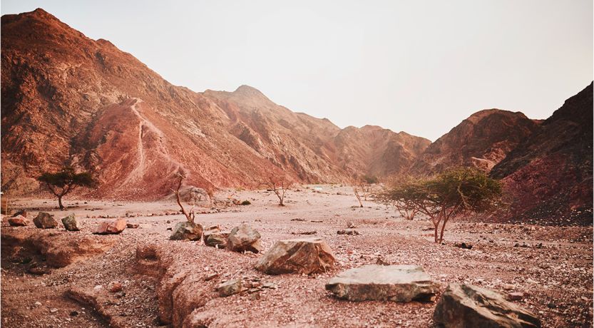 La tentación de Cristo en el desierto: ¿qué podemos aprender?
