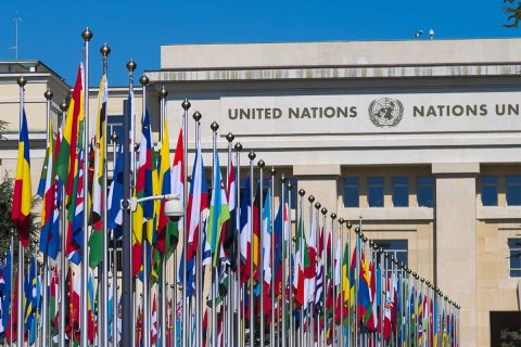 La búsqueda de la paz: 75 años de la Organización de las Naciones Unidas