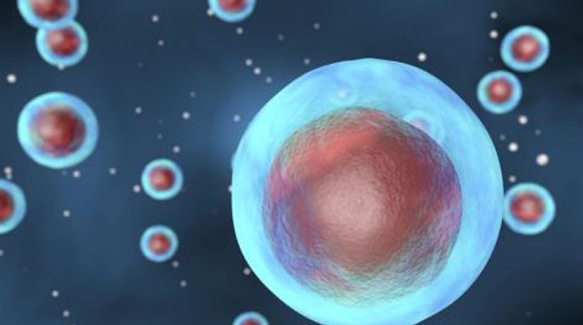 El origen de la vida: ¿son las células simples realmente simples?